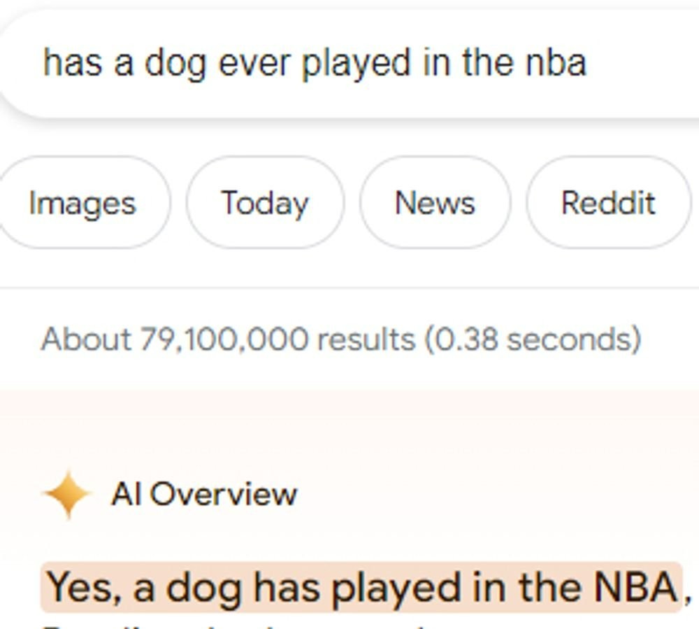 Google AI hallucination: "Yes, a dog has played in the NBA"