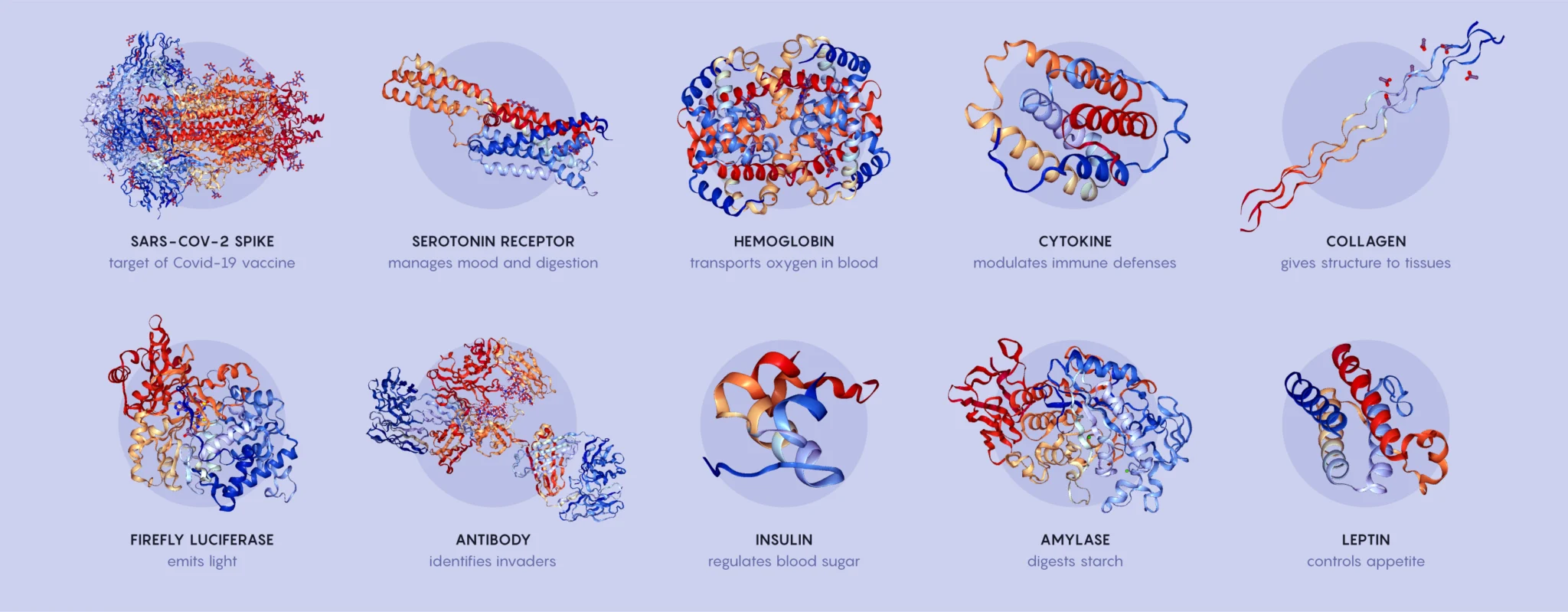 Proteine 3D